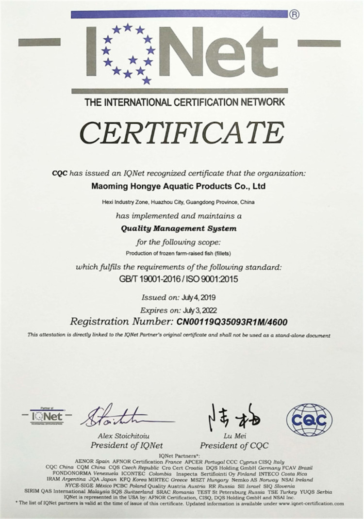 ISO 9001